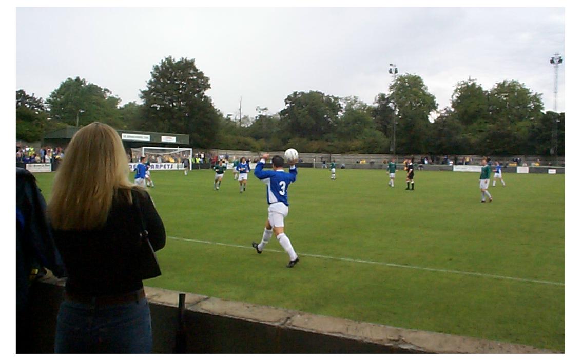leatherhead003.jpg